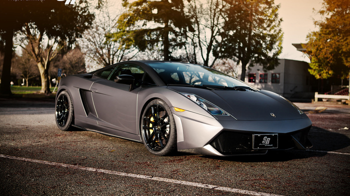 cars, city, lamborghini, gray