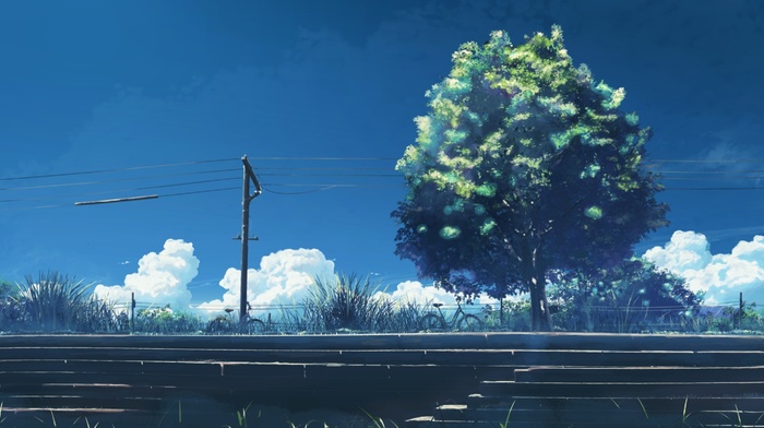 5 Centimeters Per Second, utility pole, power lines, trees, anime