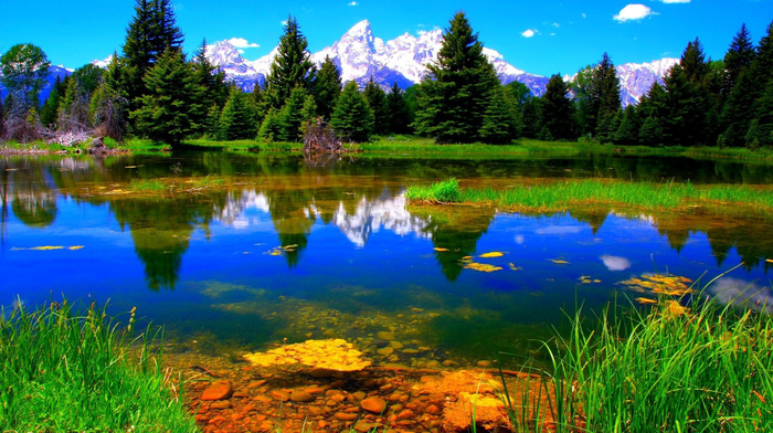 pond, mountain, stunner