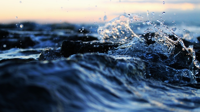 water, macro, splash, nature, photo, sea, drops