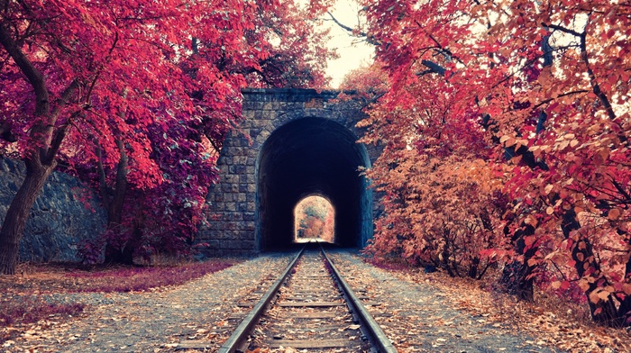 railway, fall, Armenia, trees, tunnel