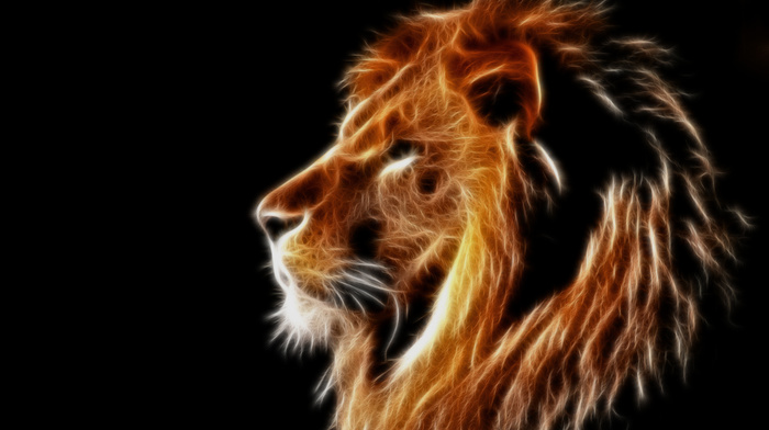 3D, lion