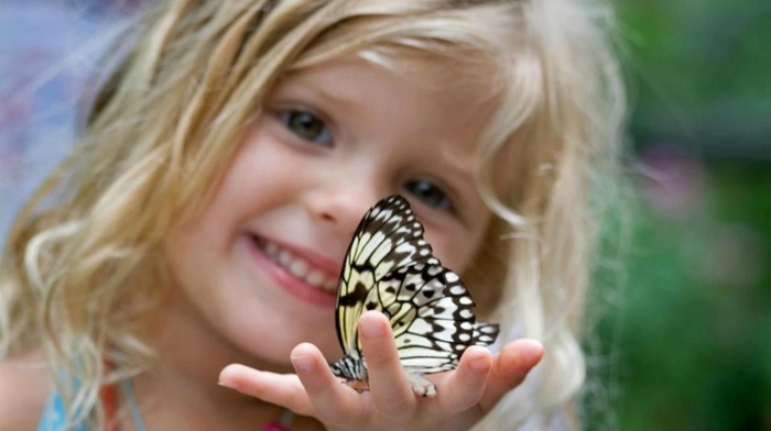 children, girlie, hand, butterfly