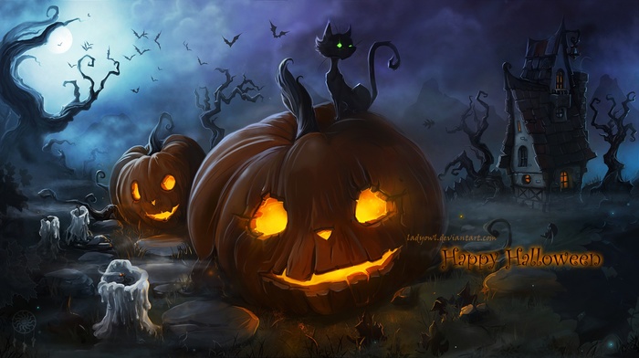 pumpkin, Halloween