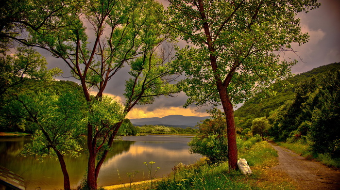 nature, river, trees, landscape