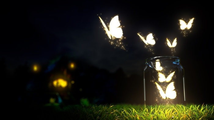 lights, butterfly, night