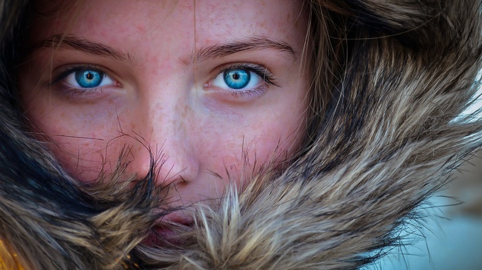 blue eyes, face, fur, freckles, portrait, girl