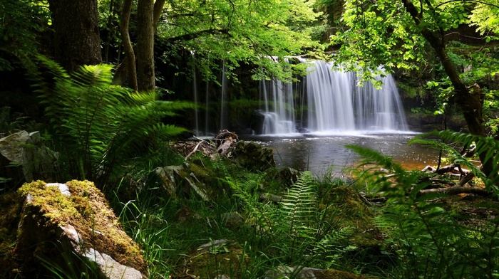 nature, waterfall, forest, England