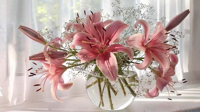 still life, vase, beauty, flowers