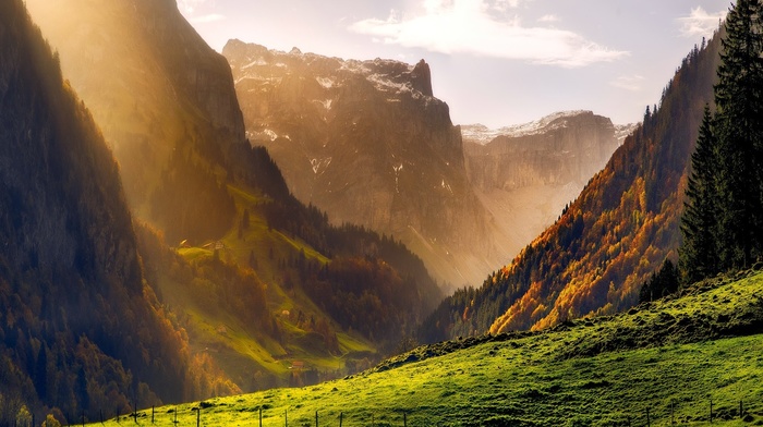 Switzerland, mountain, dawn, nature, morning, mist