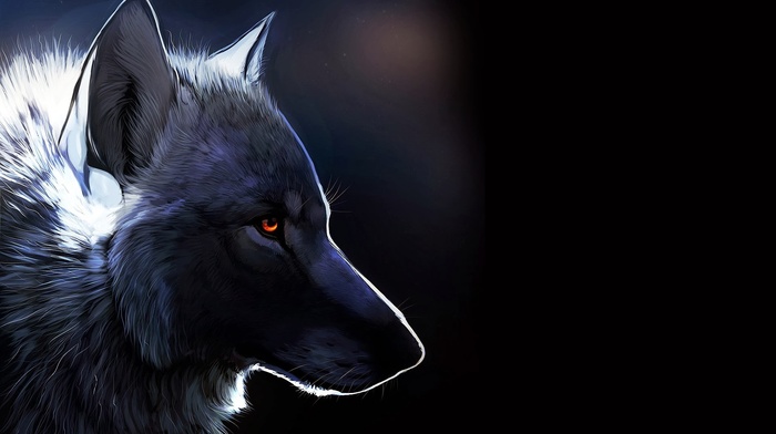 animals, wolf