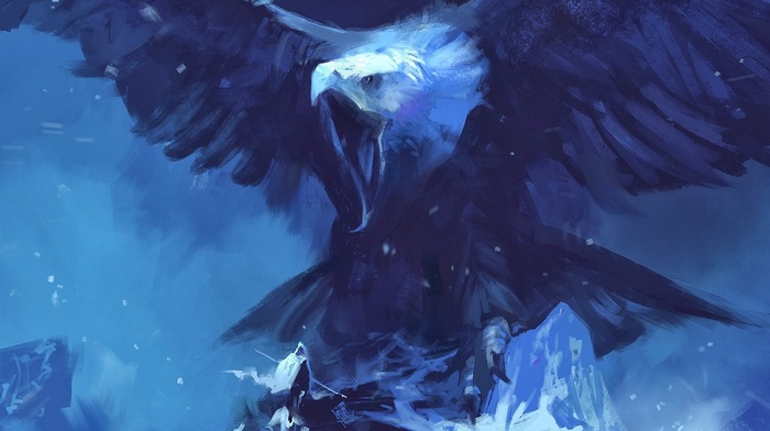 artwork, eagle, birds