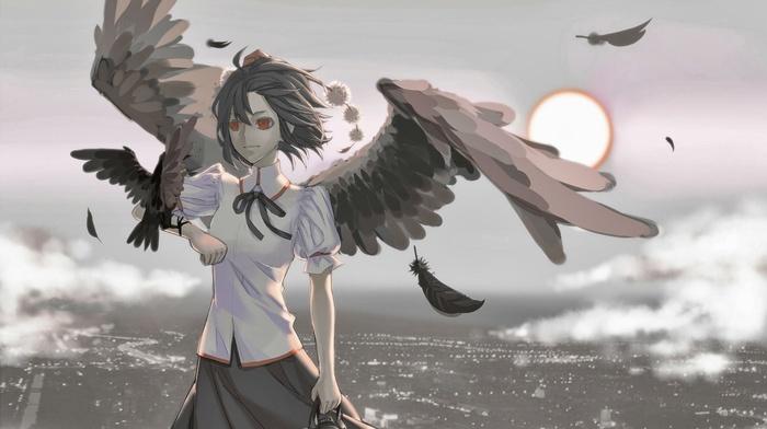wings, touhou, Shameimaru Aya