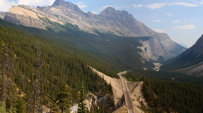 nature, forest, road, mountain, beauty, Canada, sky