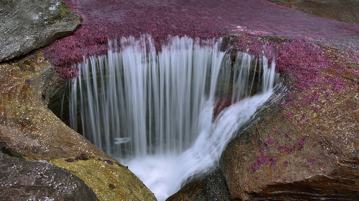 river, stunner, water, beauty