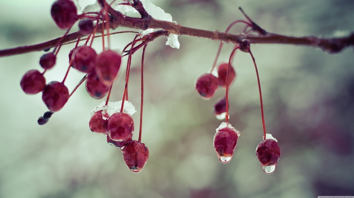 nature