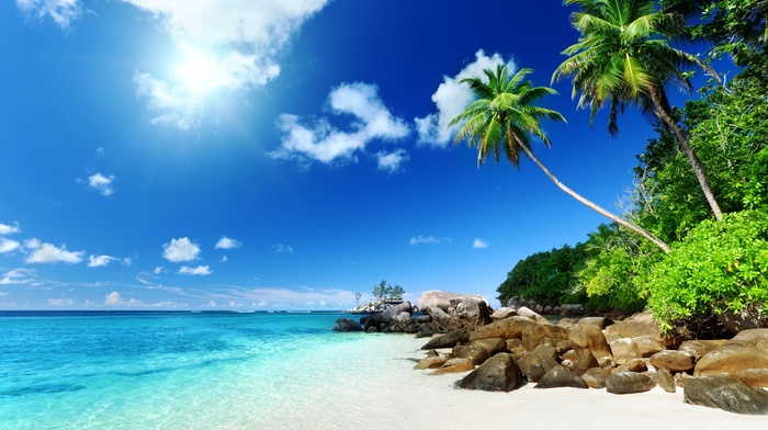 summer, nature, Sun, tropics, stones, sky, palm trees, beach