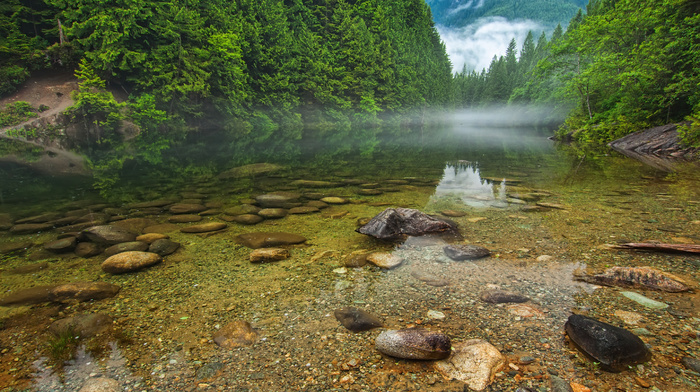 river, mist, stones, Canada, nature, forest, fishing, water, morning