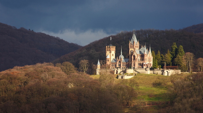 beauty, stunner, forest, sky, Germany