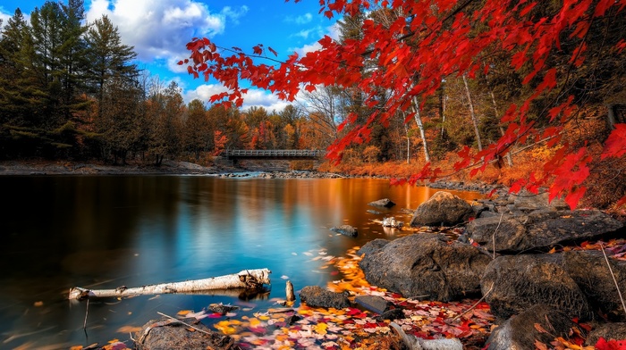 nature, nature, autumn, river
