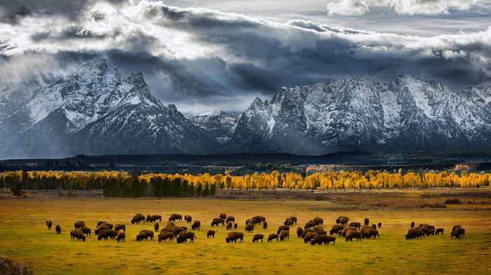 sky, stunner, mountain, beauty, USA