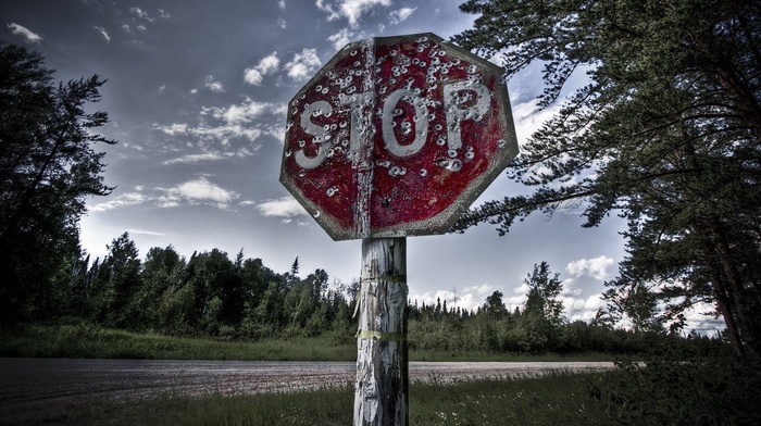 road, stop sign, forest