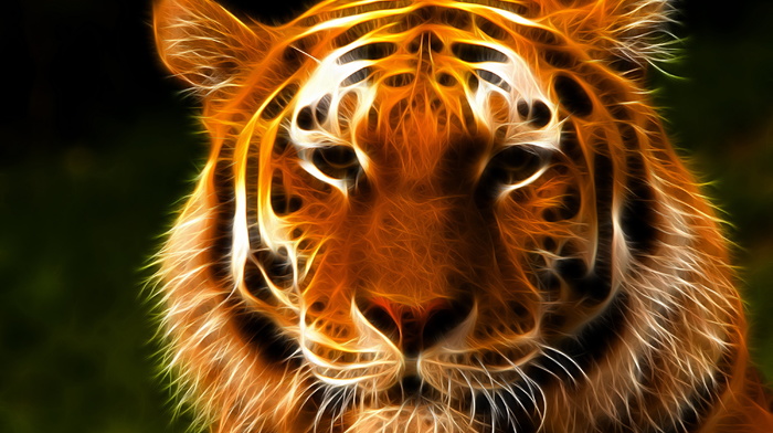 3D, photoshop, tiger