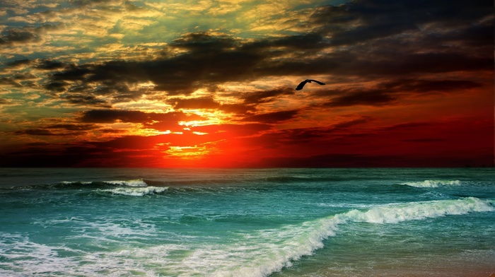 sunset, nature, sea, coast, evening, Sun