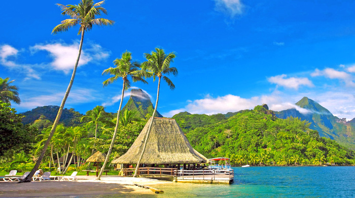 ocean, nature, mountain, resort, beach, tropics, palm trees