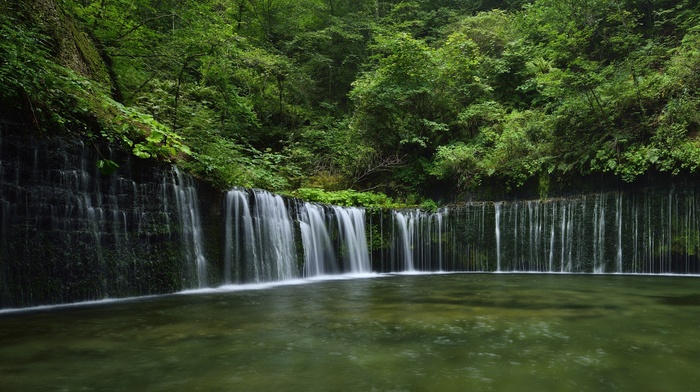 Japan, waterfall, water, forest, river, nature, beautiful