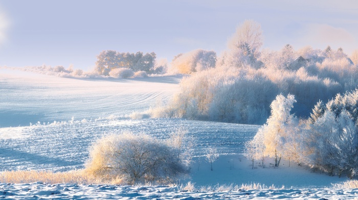 sky, beautiful, snow, frost, Sun, nature, winter