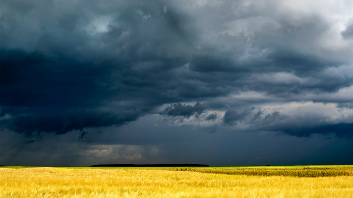 nature, cloudy, field, Ukraine
