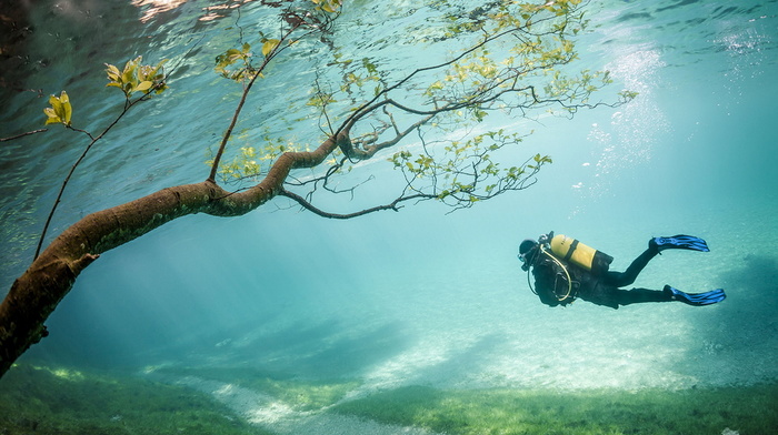 stunner, lake, park, trees, beauty, water