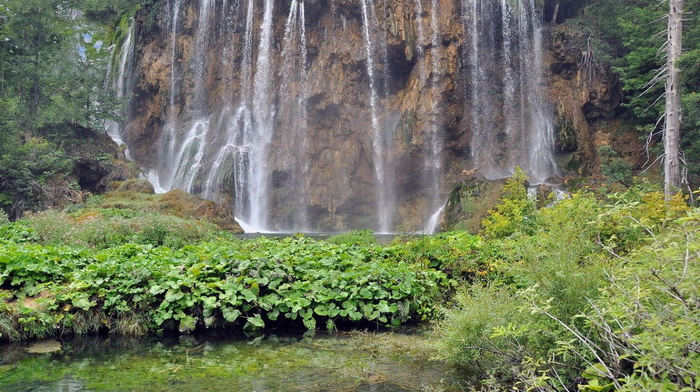 greenery, nature, beauty, lake