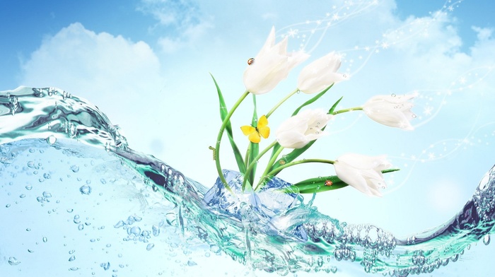fantasy, flowers, photoshop, butterfly, water