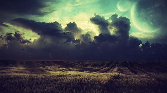 landscape, field, clouds, crops, nature