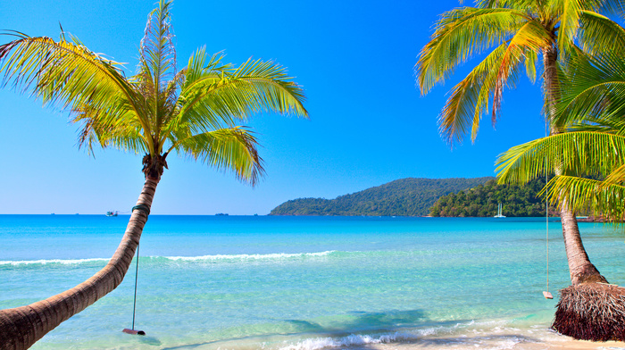 summer, beach, beautiful, tropics, resort, palm trees
