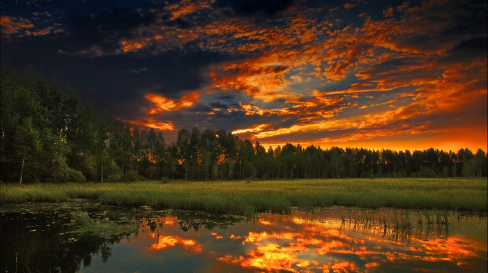 forest, river, sky, nature, sunset, fishing