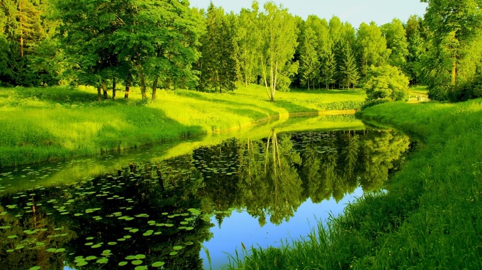 park, river, pond, trees, forest, nature, Germany