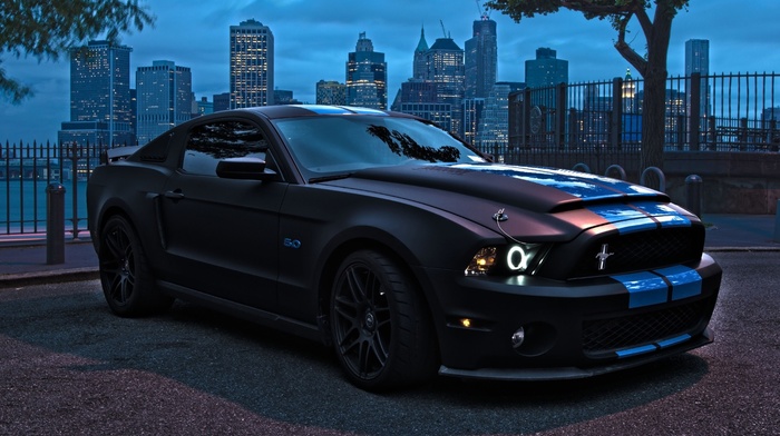 Ford Mustang, car