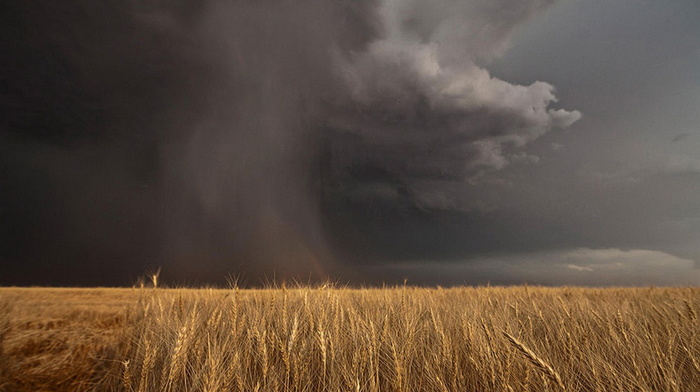 sky, nature, field, beauty