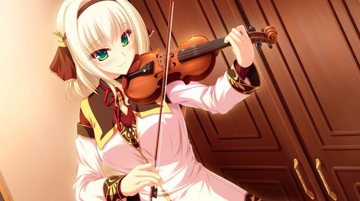 violin