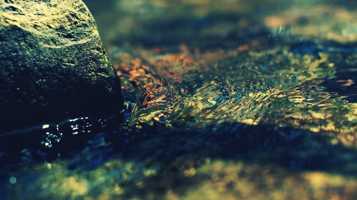macro