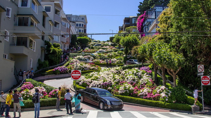 USA, beauty, cities, flowers, street, road