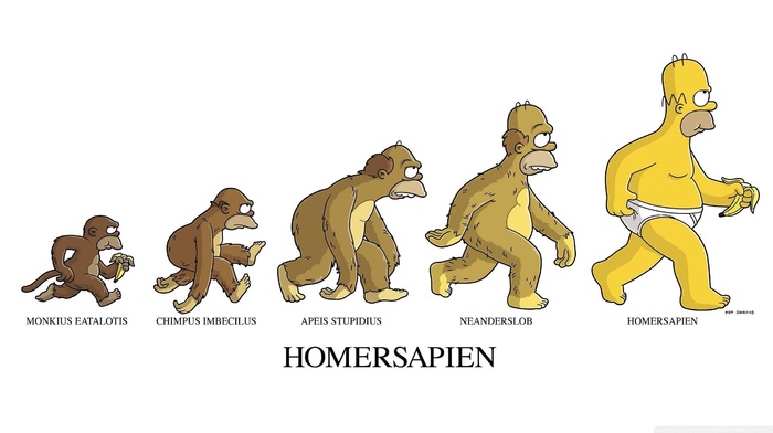 evolution, humor, The Simpsons, Homer Simpson