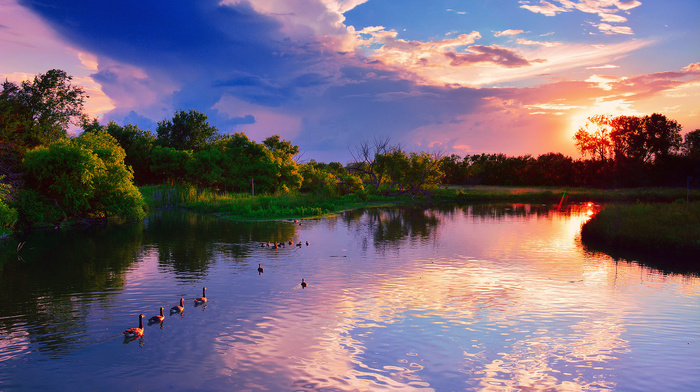 pond, clouds, sky, trees, summer, sunset, nature, light, cloudy