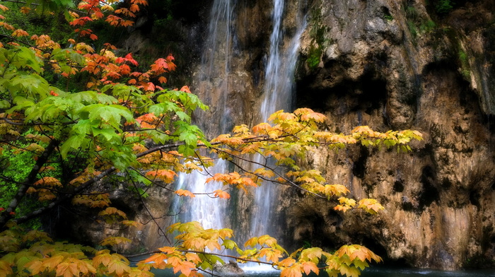 nature, trees, waterfall, rock, foliage, beauty