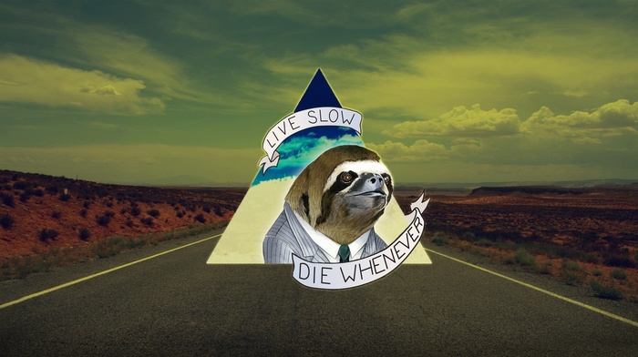 triangle, Life, humor, death, road, sloths