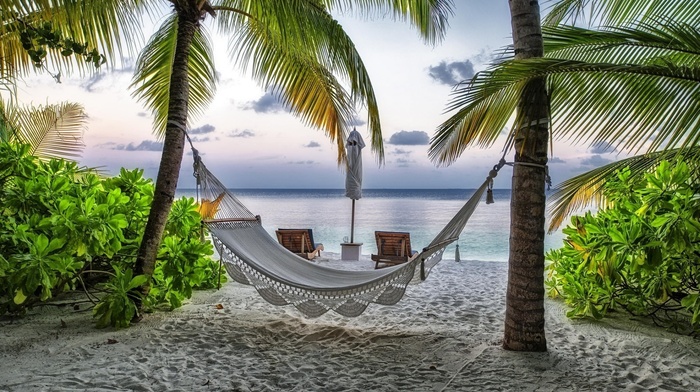 sand, palm trees, sea, nature, sky