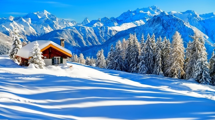 house, snow, nature, Christmas tree, mountain, forest